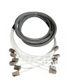 Frette 6 RJ45 Femelle/12 RJ45 Femelle Cat. 6 FTP monobrin LS0H  avec manchons + repérage 5 mètres (Fabrication spécifque)