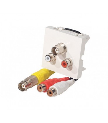 Cordon BNC + 2 RCA  femelle sur plastron BNC + 2 RCA  femelle 0,20 m