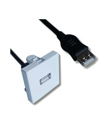 Cordon USB  femelle sur plastron USB femelle 0,20 m