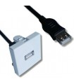 Cordon USB  femelle sur plastron USB femelle 0,20 m