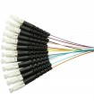  Fibre préconnectorisée 12 brins SC OM1 Multimode 62.5/125 LSOH 75 mètres (fab. spéc.) 