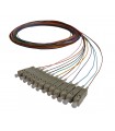 Lot de 12 pigtails couleurs assorties SC OM4 Multimode 50/125 900µm lSOH 2 mètres